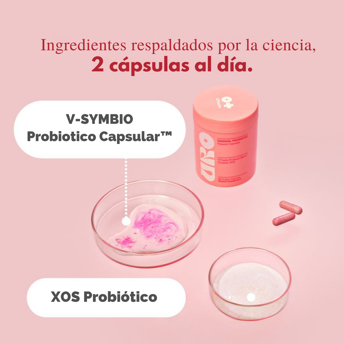 Probiótico Vaginal en Capsulas